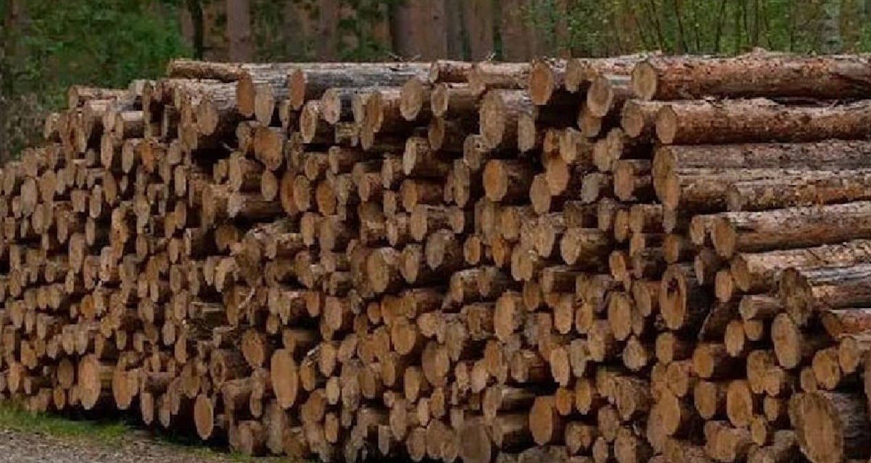 Ahşap Malzeme, Güneş Enerjisiyle Elektrik Üretiminde Devrim Yaratıyor