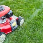 Almanya’da Bulunan Altınların Sahibi Ortaya Çıkmadı, Gelir Yerel Kuruluşlara Aktarılacak