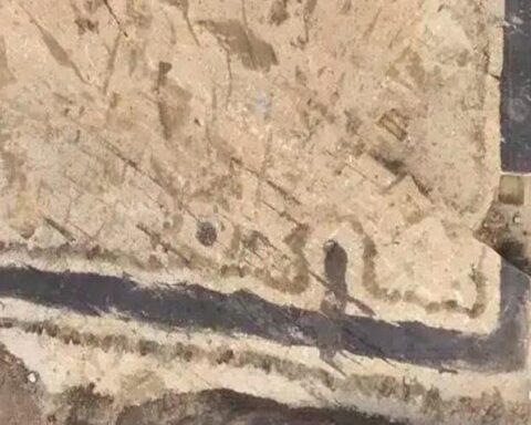 Almanya'da Tarih Öncesi Mezarlık Alanında Sıra Dışı Yer Altı Tüneli Bulundu