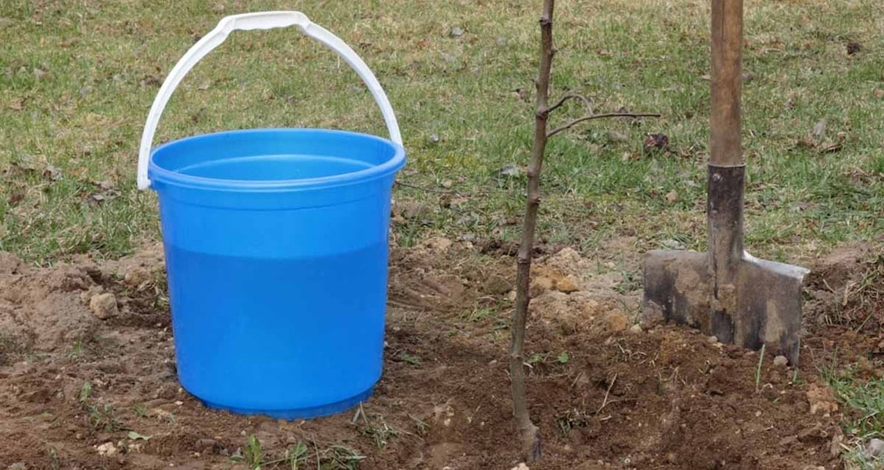 Almanya'da Yağmur Suyu Hasadı Yasal Tuzağa Dönüşüyor