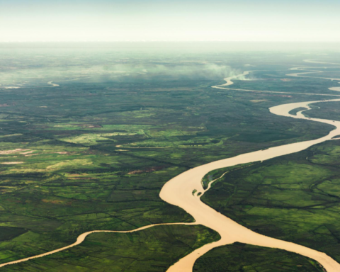Amazon Nehri’nin İki Yakası Arasında Köprü İhtiyacı Bulunmuyor
