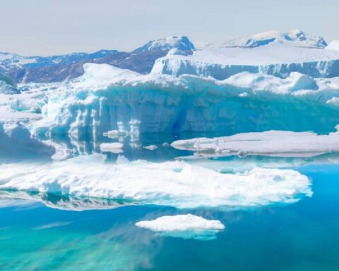 Antarktika'da 92 milyon yıl öncesine ait kehribar bulgusuyla iklim geçmişi aydınlandı