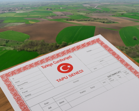 Arazi Yatırımları Doğu Anadolu'da Yükselişte: Bingöl Birinci Sırada