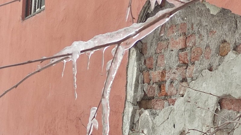 Ardahan'da Dondurucu Soğuklar Ağaçları Buzla Kapladı