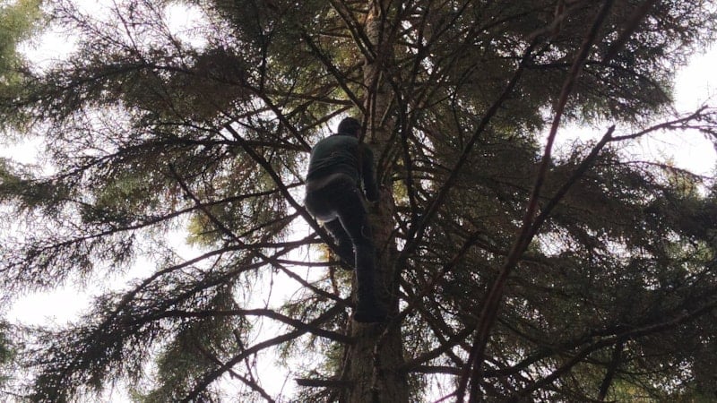 Artvin'de Yüksek Ağaçta Takılan Drone, Mahalleli Tarafından Kurtarıldı