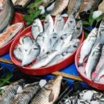 Atık Suyun İlaç Kalıntıları Balıklarda Birikiyor: Ekosistem İçin Uyarı İşareti