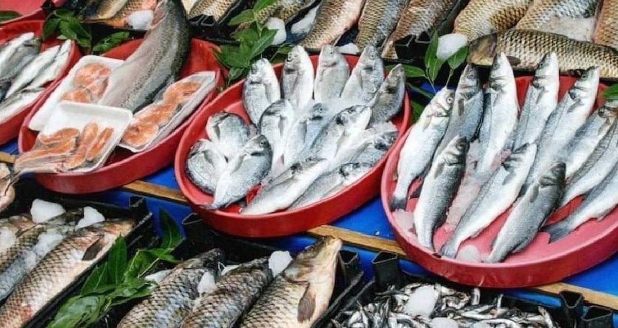 Atık Suyun İlaç Kalıntıları Balıklarda Birikiyor: Ekosistem İçin Uyarı İşareti