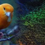 Atlantik Meridyenel Devrilme Dolaşımı'nda Alarm: İnsan Kaynaklı Küresel Isınma Tehlikesi Büyüyor