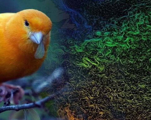 Atlantik Meridyenel Devrilme Dolaşımı'nda Alarm: İnsan Kaynaklı Küresel Isınma Tehlikesi Büyüyor