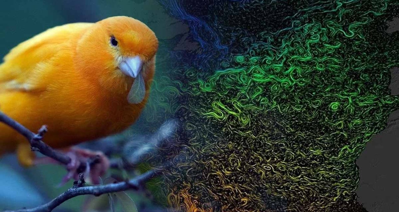 Atlantik Meridyenel Devrilme Dolaşımı'nda Alarm: İnsan Kaynaklı Küresel Isınma Tehlikesi Büyüyor