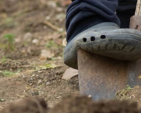 Bahçe Temizliği Sırasında Bulunan 17 Porselen Bebek İnterneti Salladı