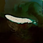 Basra Körfezi’nde Petrol Sızıntısı: Çevresel Acil Durum Uyarısı