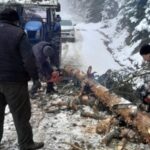 Bolu'da Kapanan Yayla Yolları Köylüler Tarafından Açıldı