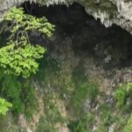 China'da dev bir karst çukurunda keşfedilen antik orman ekosistemi