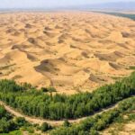 Çin, Taklamakan Çölü’nde Çöl Tarımında Devrim Niteliğinde Başarıya İmza Attı