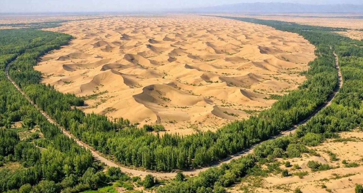 Çin, Taklamakan Çölü’nde Çöl Tarımında Devrim Niteliğinde Başarıya İmza Attı