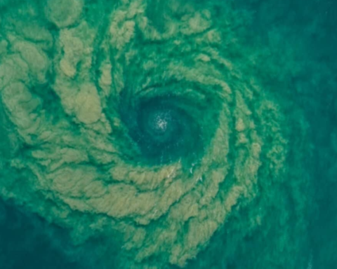 Deniz Altındaki Görünmez Tehlike: Güçlü Rip Akıntısı Yüzücüleri Tehdit Ediyor