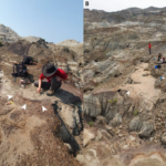 Dinozorlar Gruplar Halinde Mi Yaşıyordu? Yeni İzler Bu Tezi Sarsıyor