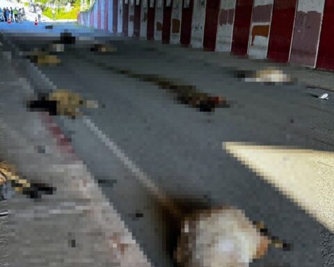 Dörtyol'da Otomobilin Koyun Sürüsüne Çarpması Sonucu 17 Koyun Öldü