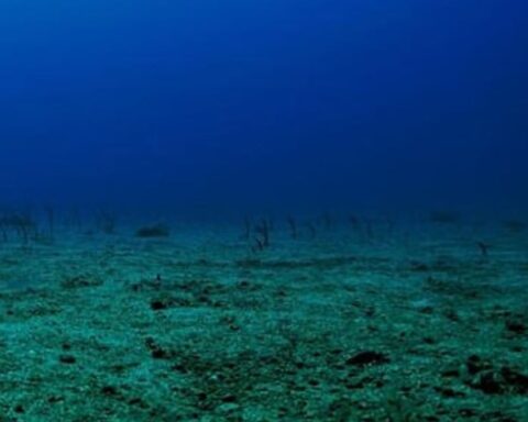 Dünyanın Derinliklerinde Devasa Kaya Kütlelerinin Hareketi Keşfedildi