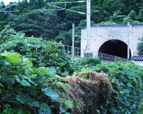 Dünyanın En Uzun Tüneli Seikan, Teknik Başarısı ve Zorluklarıyla Gündemde