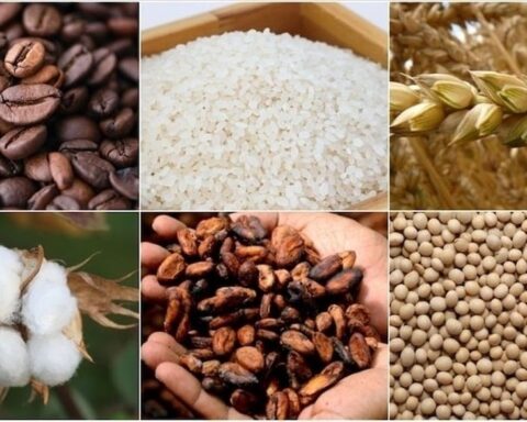 Emtia Piyasasında Barış Beklentisi ile Yükseliş Devam Ediyor