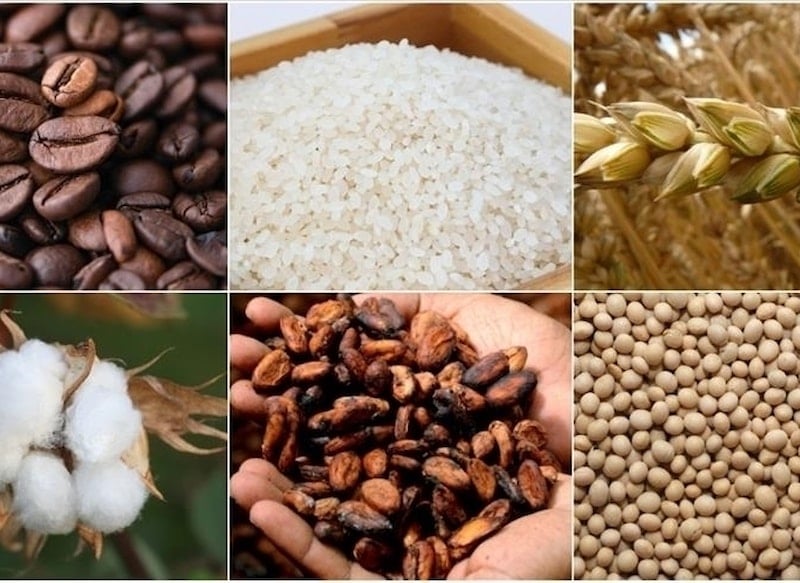 Emtia Piyasasında Barış Beklentisi ile Yükseliş Devam Ediyor