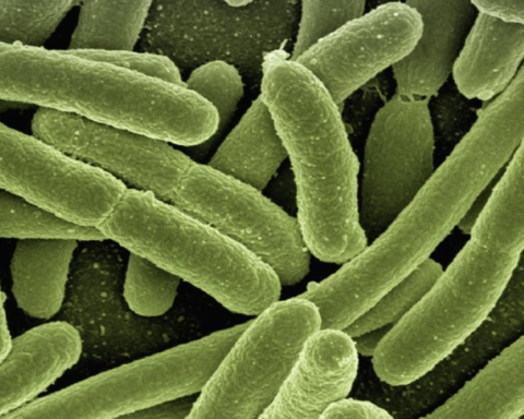 Eriyen Buzulların Altındaki Eski Virüsler Yeni Tehditler Oluşturabilir