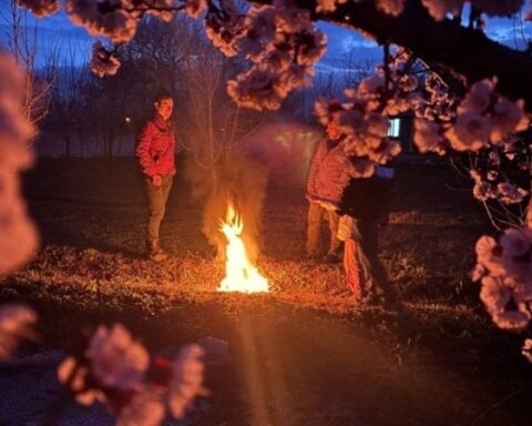 Erzincan'da Çiftçiler Don Tehdidine Karşı Bahçelerinde Nöbet Tutuyor