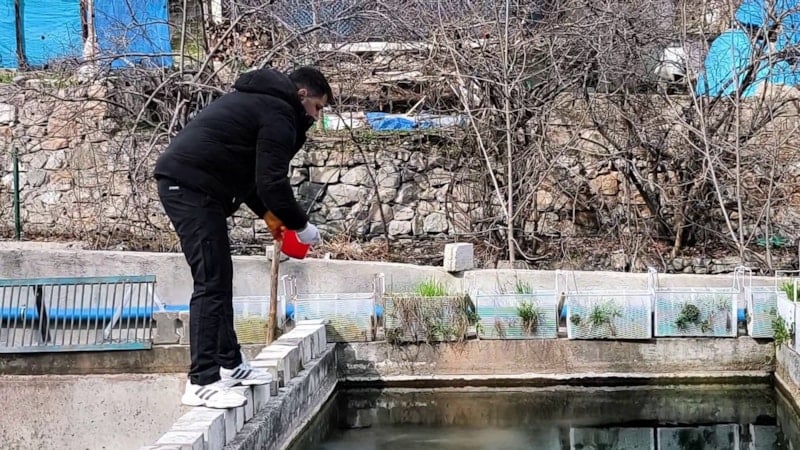 Erzurum'da Balık Üretim Tesisi Zarara Uğradı: 300 Bin Yavru Balık Telef Oldu