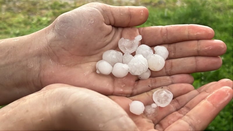 Hatay'da Dolu Yağışı Panik Yarattı, Vatandaşlar Korunmaya Çalıştı
