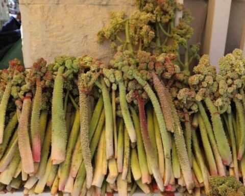 Işkın Fiyatı 400 TL: Doğu’nun Muzu Tezgahlara Geldi