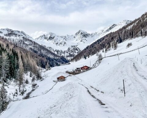 İtalya'da Bilimsel Deney İçin Gönüllülere Konaklama ve Ücret Teklifi