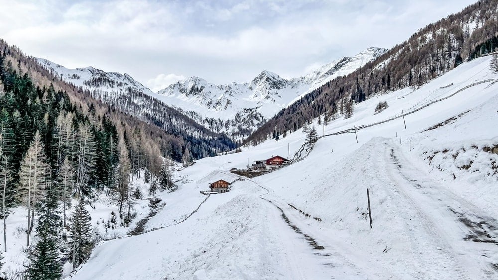 İtalya'da Bilimsel Deney İçin Gönüllülere Konaklama ve Ücret Teklifi