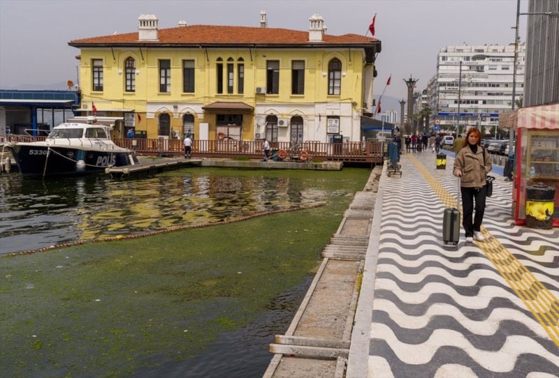 İzmir Körfezi'nde Yosun Sorunu Tekrar Gündemde