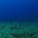 Japonya'nın Doğusunda 3 Milyon Yıllık Nadir Bir Volkan Türü Keşfedildi