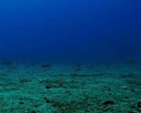 Japonya'nın Doğusunda 3 Milyon Yıllık Nadir Bir Volkan Türü Keşfedildi