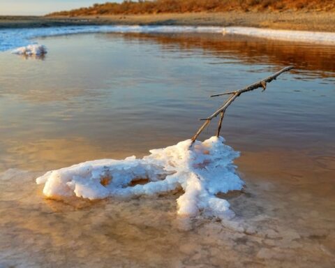 Kıyı Bölgelerindeki Yer Altı Suları Tehlike Altında: İklim Değişikliği Etkisi Artıyor
