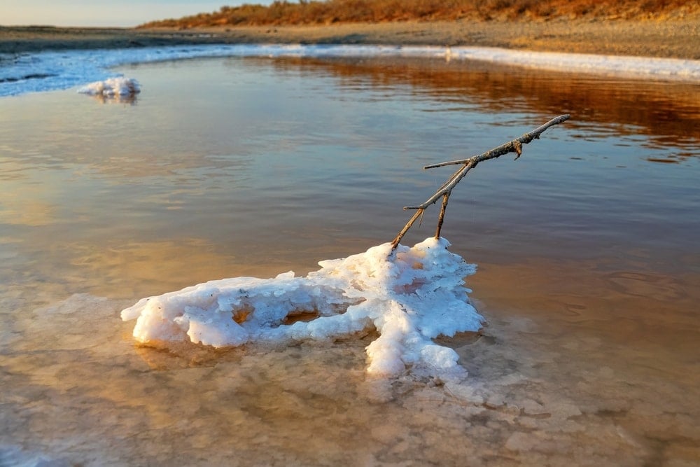 Kıyı Bölgelerindeki Yer Altı Suları Tehlike Altında: İklim Değişikliği Etkisi Artıyor