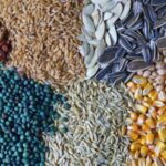 Konya'da Yüzyıllık Gelenek: Gavut, Kültürel Miras Olarak Yaşatılıyor