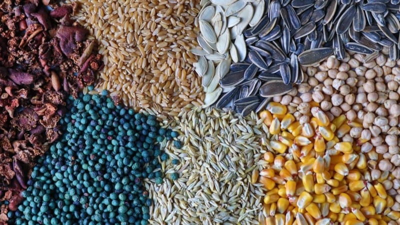 Konya'da Yüzyıllık Gelenek: Gavut, Kültürel Miras Olarak Yaşatılıyor