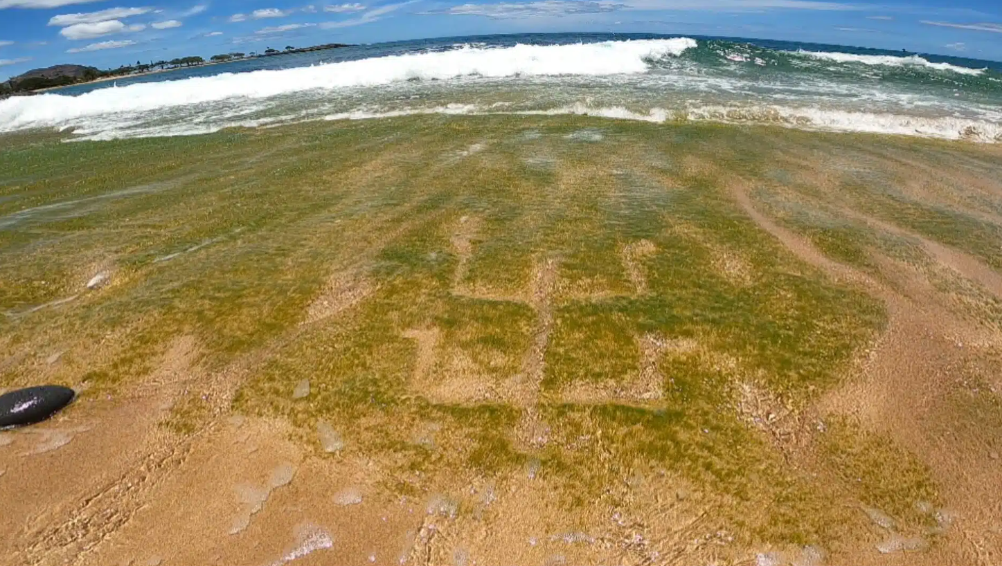 Kumların Altında Gizli Kalmış 1000 Yıllık Kaya Oymaları Gün Yüzüne Çıktı