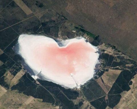 Las Barrancas Gölü'ndeki Pembe Rengin Sırrı: Tuzlu Mikroorganizmalar İle Ortaya Çıkıyor