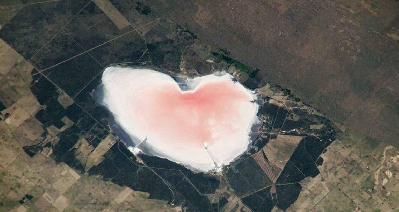 Las Barrancas Gölü'ndeki Pembe Rengin Sırrı: Tuzlu Mikroorganizmalar İle Ortaya Çıkıyor