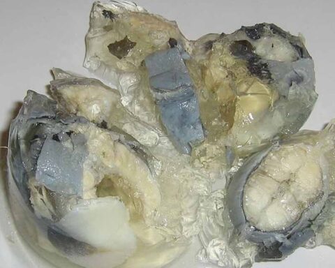 Londra'nın Jöleli Yemeği, TasteAtlas'ın En Kötü Yemekleri Listesinde Yer Aldı