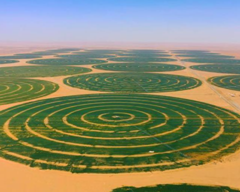 Mısır, Çölü Tarım Üssüne Dönüştürmek İçin Nil Su Kaynaklarını Kullanacak