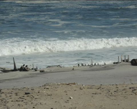 Namib Çölü'nde 500 yıl sonra ortaya çıkan elmas gemisinde dev hazine bulundu