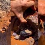 Namibya'dan dev ametist kristali çıkartıldı