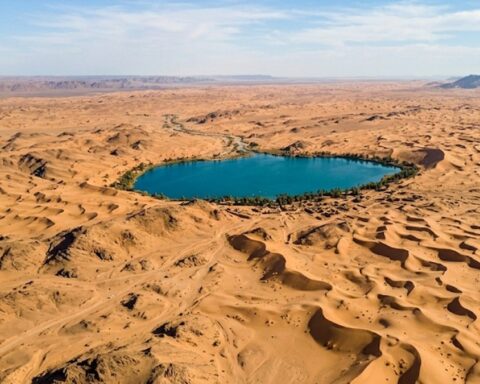 Nefud Çölü'nde Antik Cübbe Şehri'nin Zengin Tarımsal Mirası Keşfedildi