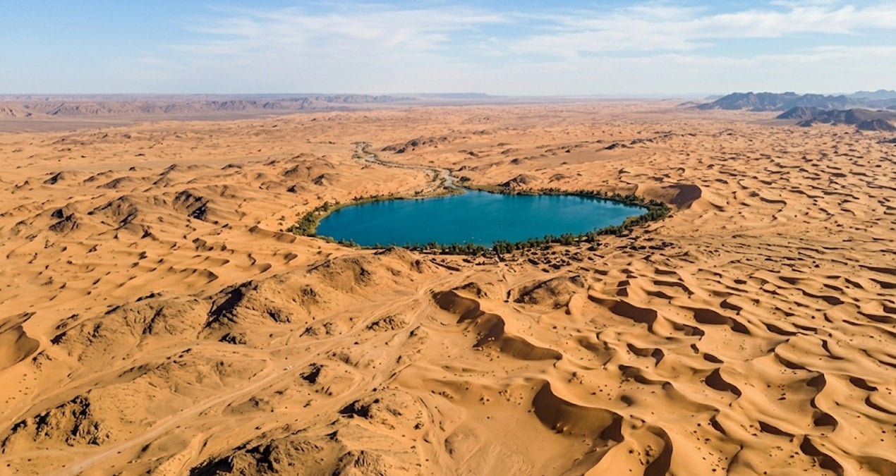 Nefud Çölü'nde Antik Cübbe Şehri'nin Zengin Tarımsal Mirası Keşfedildi